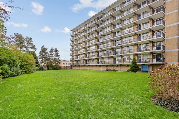 46 Sportlaan 242 Vlaardingen.jpg